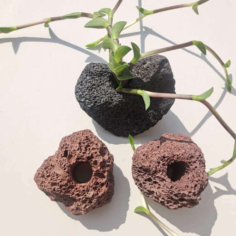 Volcanic Aquarium Decoration F - Aquarium Plant Rings recension och pris