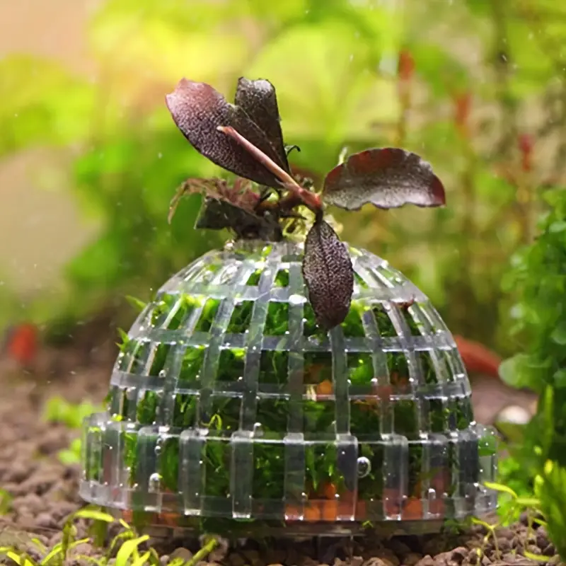 Plastic Aquarium Moss Ball Fil - Aquarium Plant Rings recension och pris