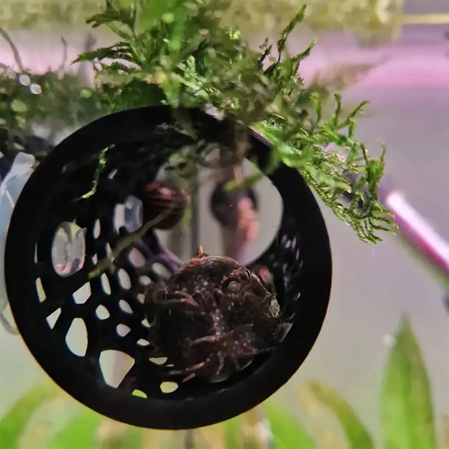 Aquarium Fish Hideout Black Ho - Aquarium Plant Rings recension och pris
