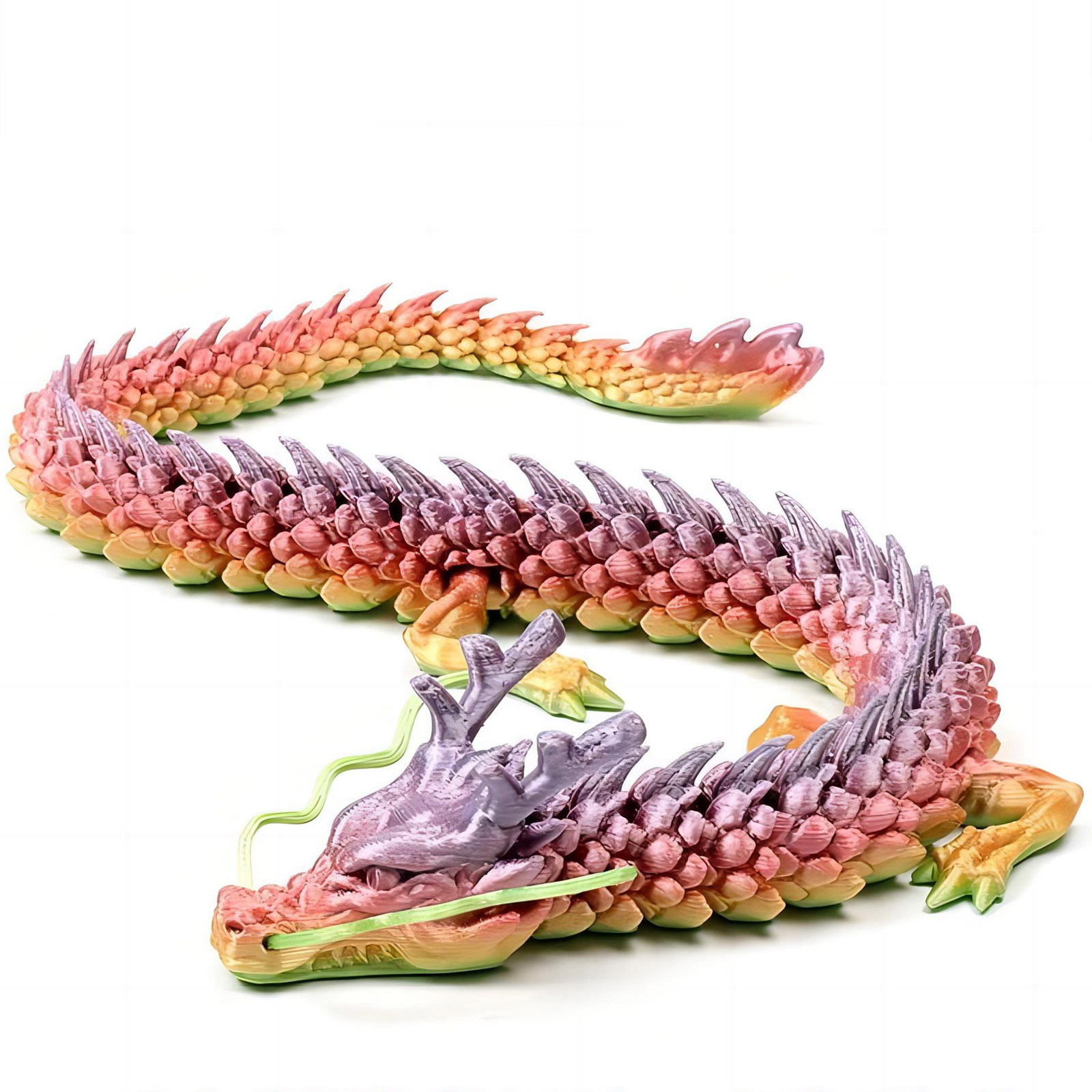 3D Printed Conjoined Dragon Or - Aquarium Plants Book recension och pris