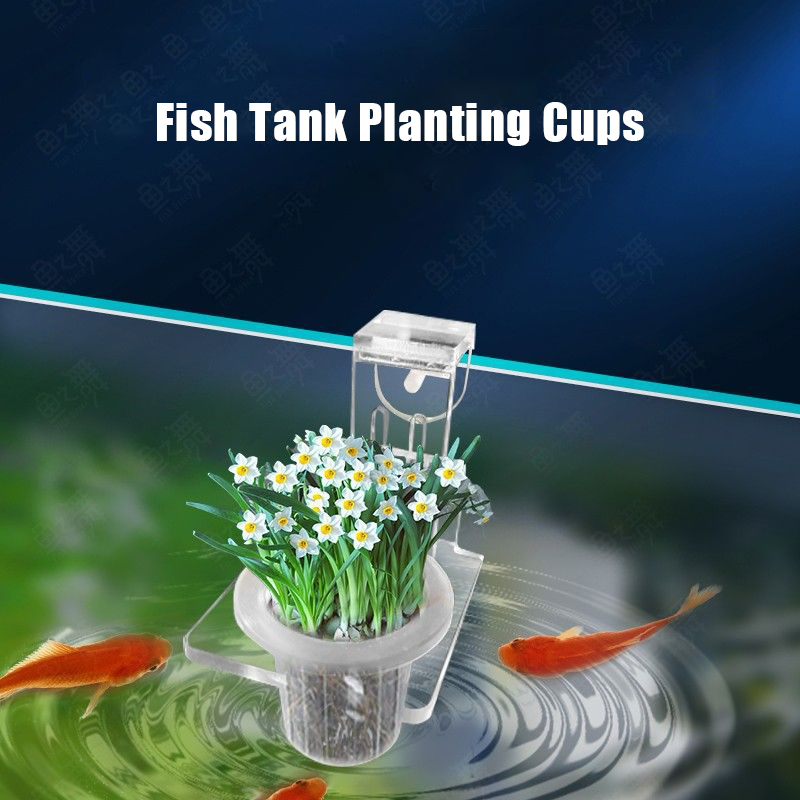 Fish Tank Planting Cups Hydrop - Aquarium Plant Rings recension och pris