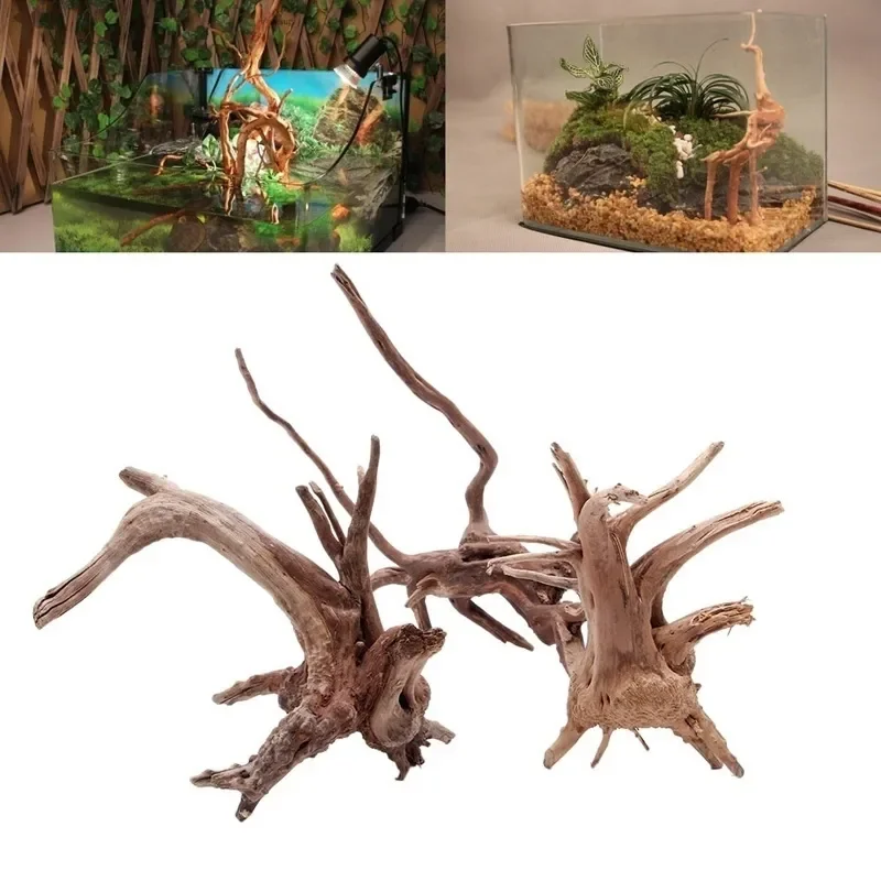 Natural Tree Trunk Driftwood A - Aquarium Plant Rings recension och pris