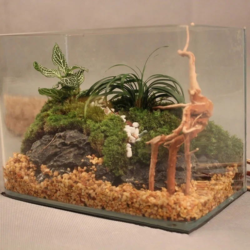Natural Tree Trunk Driftwood A - Aquarium Plant Rings recension och pris