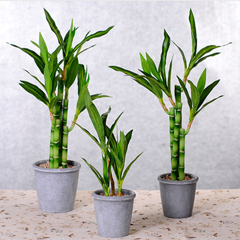 New 40cm rFtificial Lucky Bamb - Aquarium Plants Book recension och pris