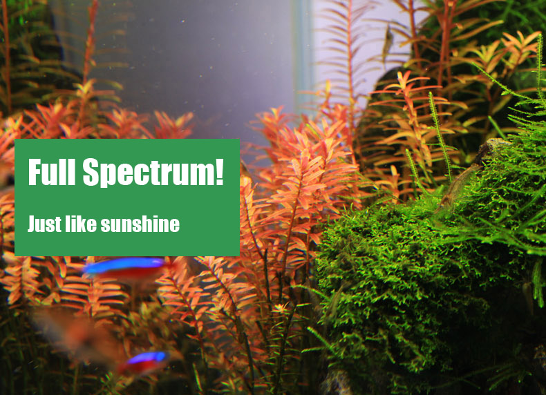 Chihiros C series ADA style Pl - Planted Aquarium Ada recension och pris