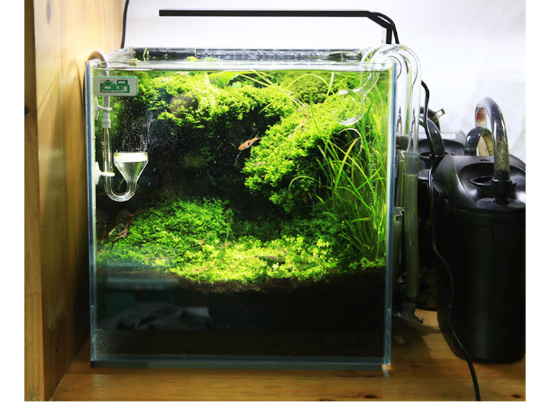 Chihiros C series ADA style Pl - Planted Aquarium Ada recension och pris