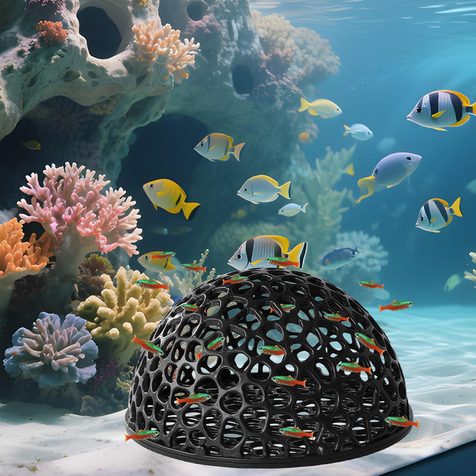 Aquarium Hiden Cave Shelter fo - Aquarium Plant Rings recension och pris
