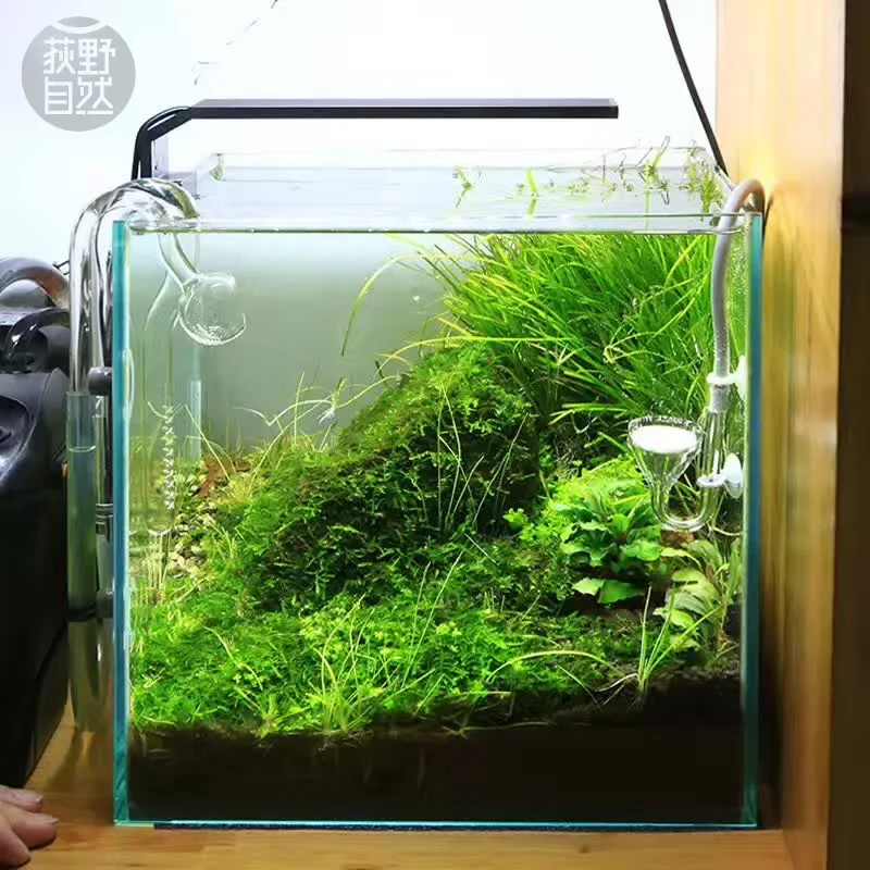 Chihiros C Series ADA Style Pl - Planted Aquarium Ada recension och pris