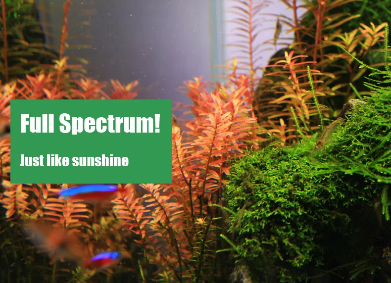Chihiros C Series ADA Style Pl - Planted Aquarium Ada recension och pris