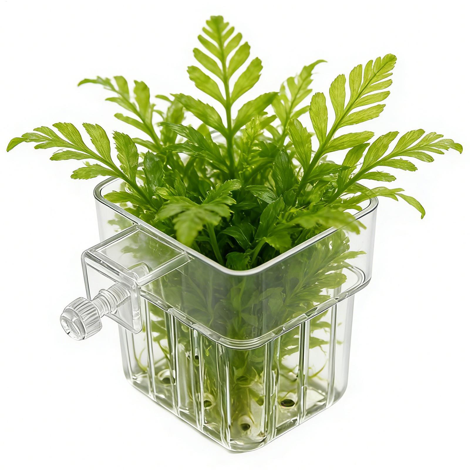 1pcs Plant Holder For Fish Tan - Aquarium Plant Rings recension och pris