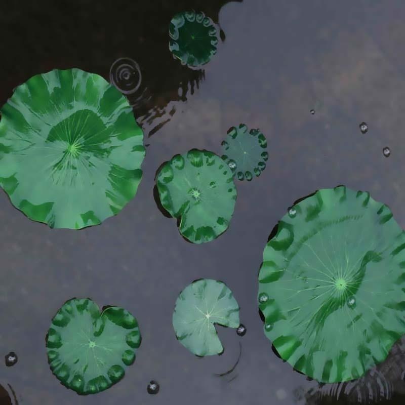 2026 Artificial Water Lily Lot - Aquarium Plants Book recension och pris