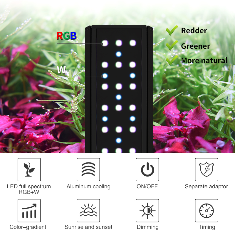 ZXY WEEK ADA Same Type Water S - Planted Aquarium Ada recension och pris