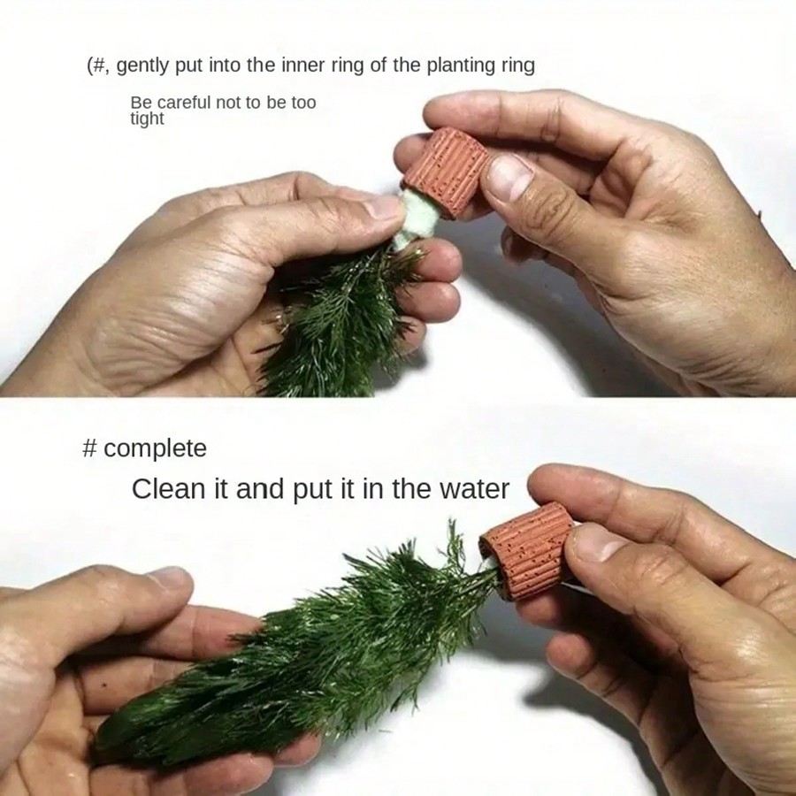 High   Quality Aquarium Plant  - Aquarium Plant Rings recension och pris