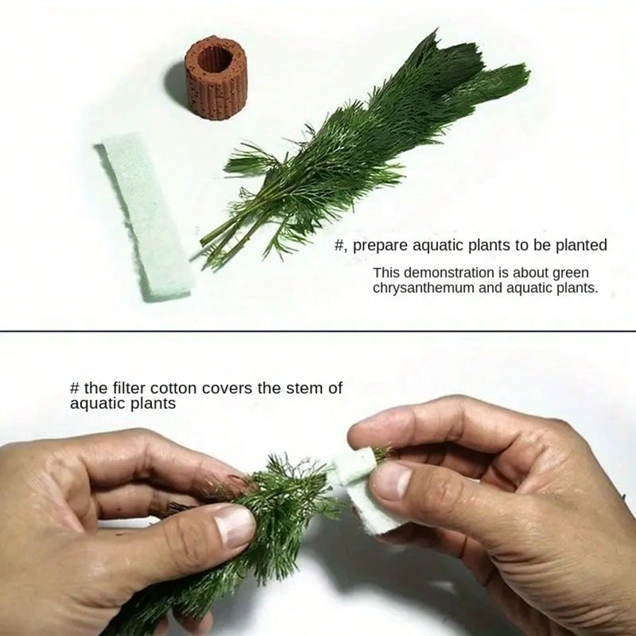 High   Quality Aquarium Plant  - Aquarium Plant Rings recension och pris