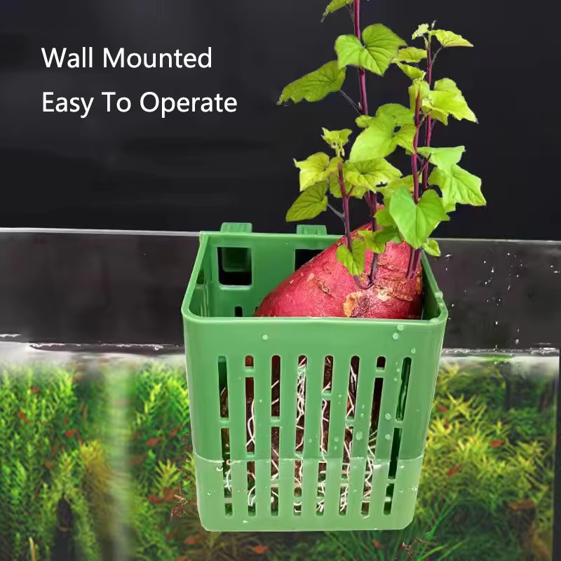 Fish Tank Water Grass Cup Aqua - Aquarium Plant Rings recension och pris