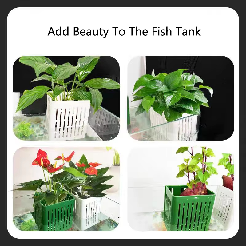 Fish Tank Water Grass Cup Aqua - Aquarium Plant Rings recension och pris