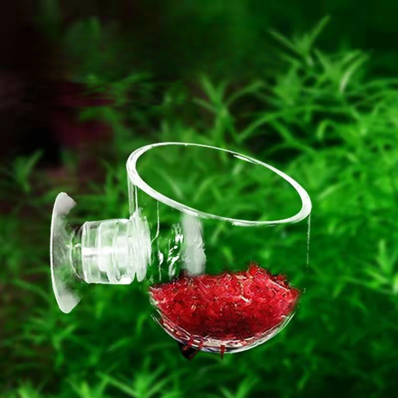 Acrylic Aquatic Plant Cup With - Planted Aquarium Accessories recension och pris