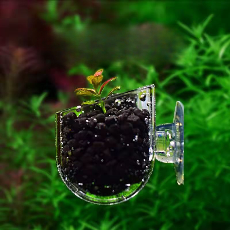 Acrylic Aquatic Plant Cup With - Planted Aquarium Accessories recension och pris