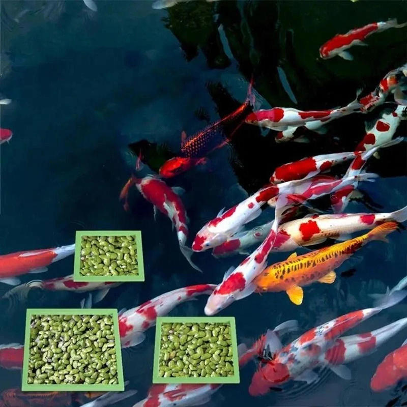 5/10pcs Aquarium Floating Plan - Planted Aquarium Accessories recension och pris