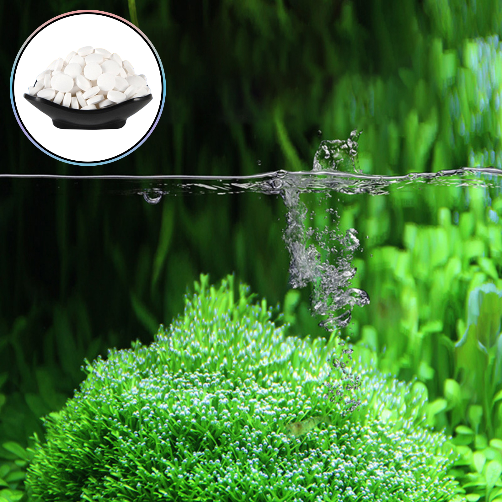 Algae Removal Tablets For Fish - Planted Aquarium Hair Algae recension och pris
