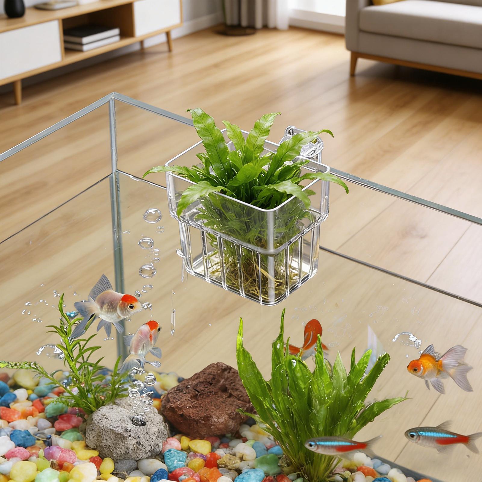 Transparent Hangable Aquarium  - Aquarium Plant Rings recension och pris
