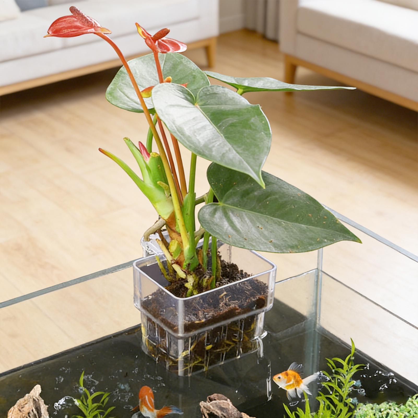 Transparent Hangable Aquarium  - Aquarium Plant Rings recension och pris