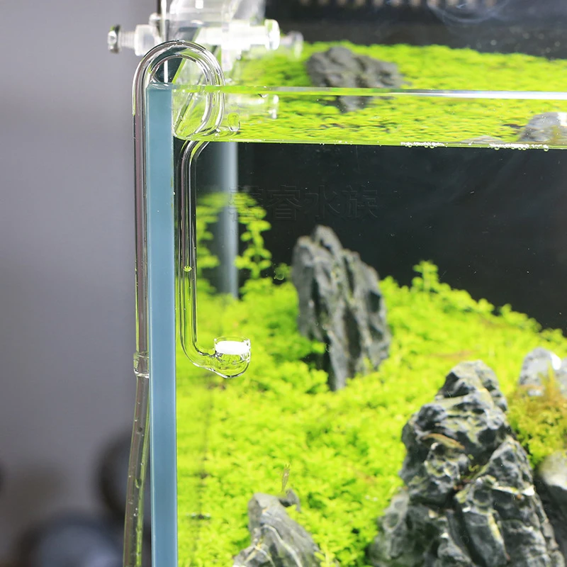 VIV BETTER LIFE CO2 System Dif - Planted Aquarium Ada recension och pris