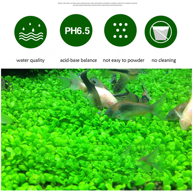 Aquarium Plant Seeds Soil Fish - Planted Aquarium Freshwater recension och pris