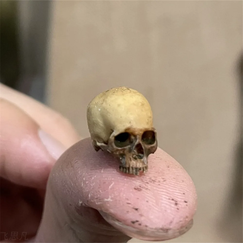 Mini Skull High Quality Miniat - Aquarium Plants Book recension och pris